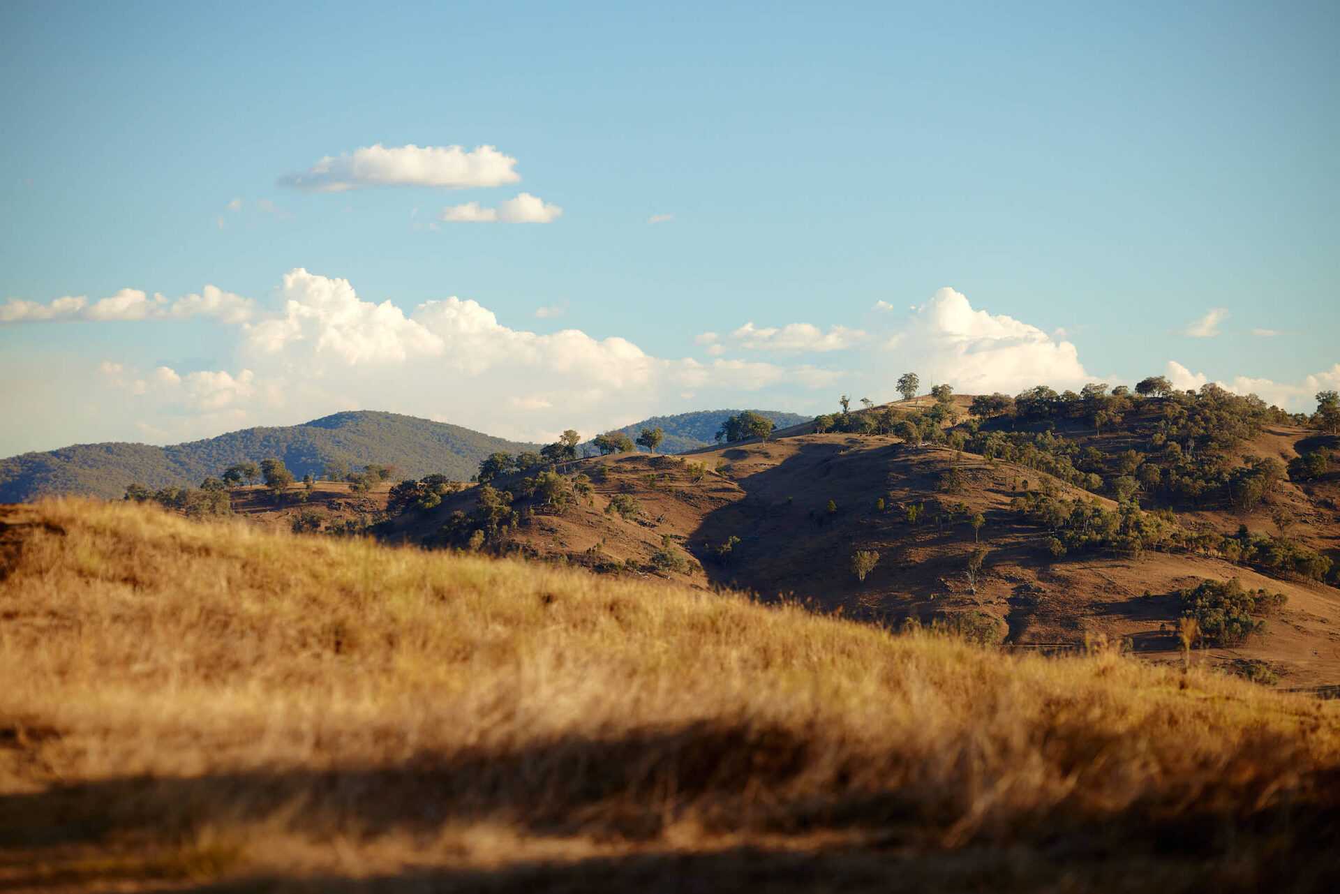 image of rolling hills across Thurgoona for proposed residential subdivision